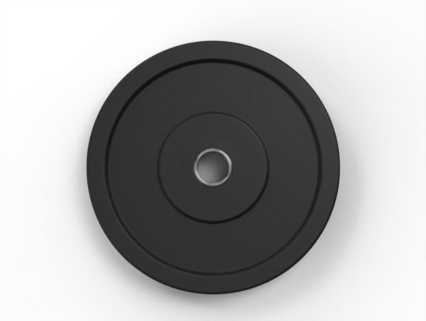 Bumper Plates with Aluminium Bush - Image 3