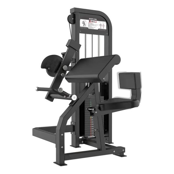 BICEPS CURL - MAGNA SERIES