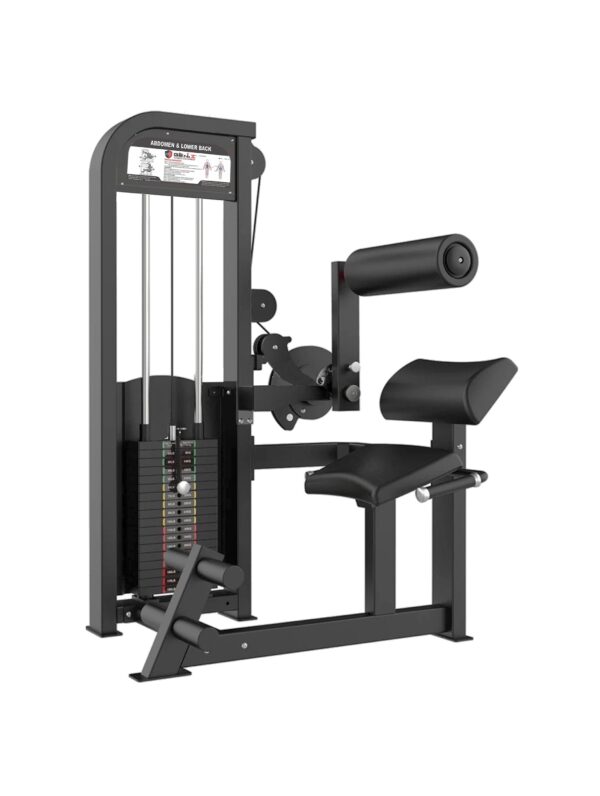 Abdomen & Lower Back - Magna Series