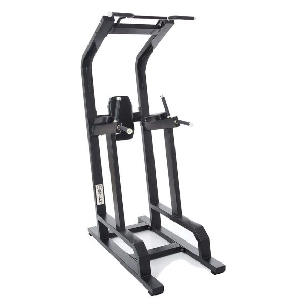 VERTICAL KNEE RAISE WITH CHIN-UP